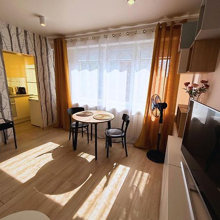 Zacisze Kopernika Z Darmowym Parkingiem Apartment Torun Exterior photo